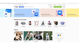 Что отдают на Авито бесплатно для дачи в Интерспорт