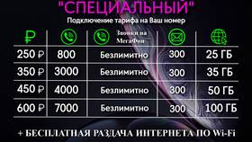 Что такое абонентская плата по тарифу МегаФон в Интерспорт