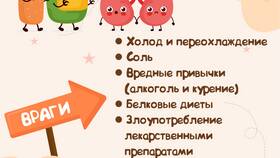 Что выводят почки из организма в Интерспорт