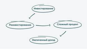 Что является инвестицией: анализ финансовых инструментов в Интерспорт