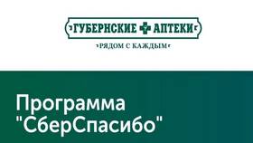 Как начисляются бонусы СберСпасибо в Интерспорт
