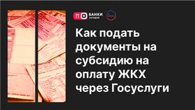 Как оформить субсидию через МФЦ в Интерспорт