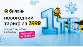 Как получить тарифы Билайн в Интерспорт