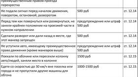 Штраф 562.50 рублей: за что могут выписать в Интерспорт
