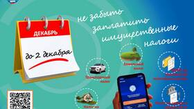 Статус декларации КНП 