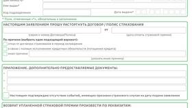 Страховой полис Сбербанка: что это в Интерспорт
