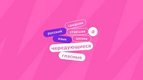 Значение и функции приставки 