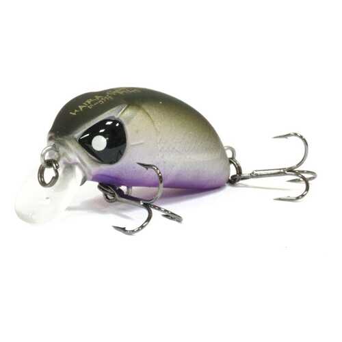 LUCKY JOHN Воблер Плавающий Lj Pro Series Haira Tiny F 03.30/404 Shallow Pilot в Интерспорт