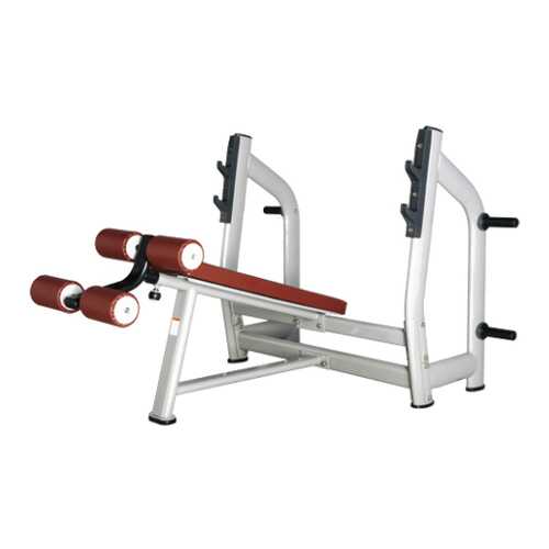 Скамья со стойкой наклонная Bronze Gym H-024 в Интерспорт