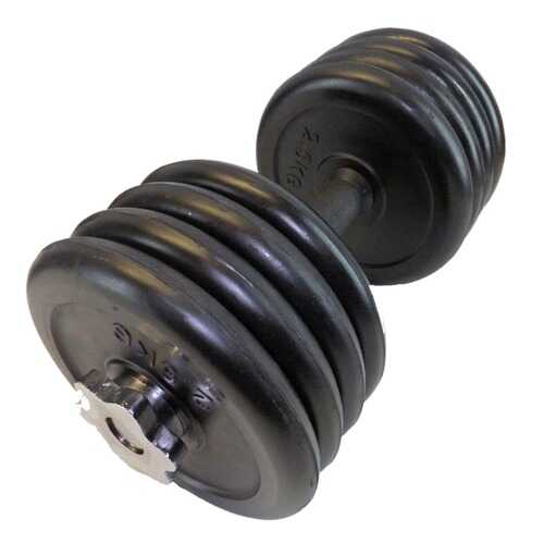 Гантель разборная MB Barbell Atlet 25 мм, 17,5 кг в Интерспорт