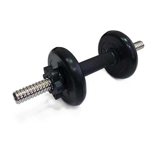 Гантель разборная MB Barbell Atlet 25 мм, 5 кг в Интерспорт
