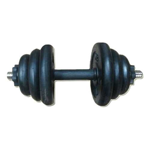Пара гантелей MB Barbell 2 шт. по 20 кг в Интерспорт