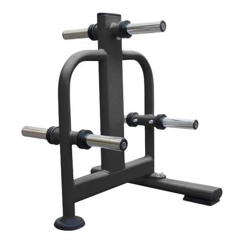 Стойка для дисков Spirit Fitness AD109 в Интерспорт