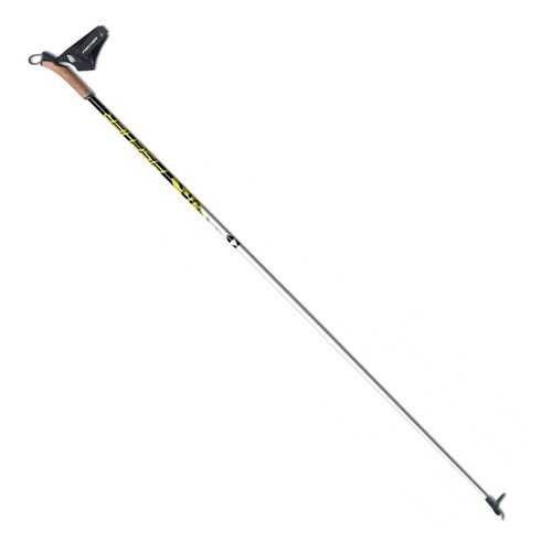 Лыжные палки Fischer RC3 2020, 170 см в Интерспорт